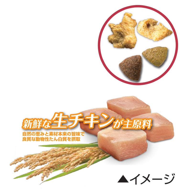 ほぐし粒入り1～6歳 成犬用 チキン - ピュリナ ワン ドッグ